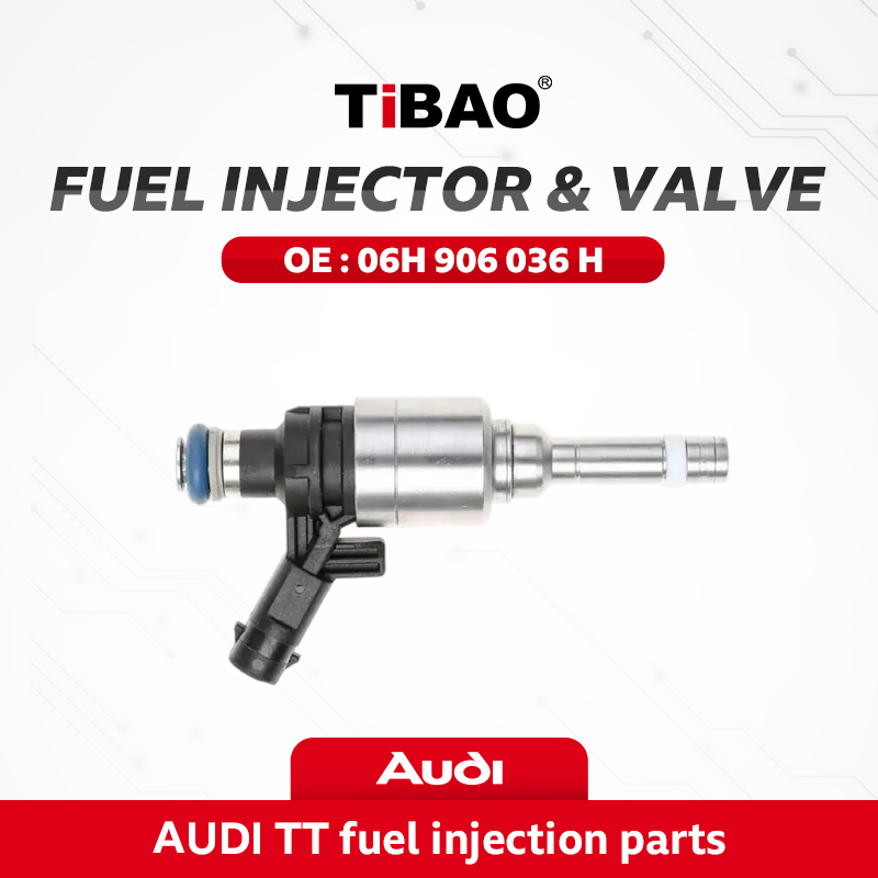 AUDI TT Fuel Injection Parts
